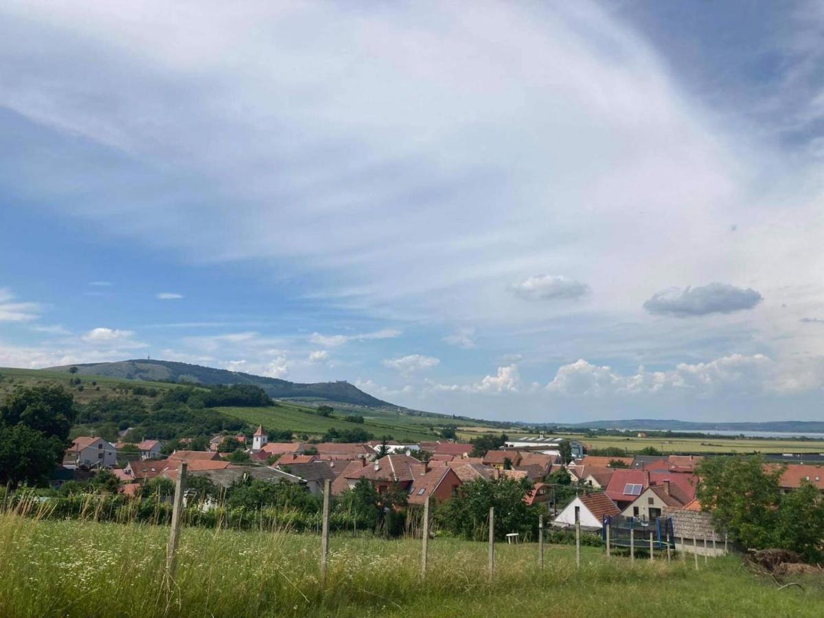Prazdninovy Dum Na Palave S Vinnym Sklepem Milovice  Exterior photo